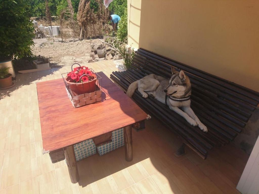 Casita Entre Naranjas Villa Formentera del Segura Bagian luar foto